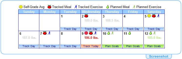 StartYourDiet.com Tracking Calendar Screenshot
