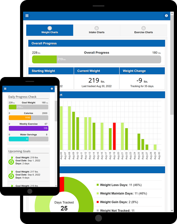 StartYourDiet charts and weight progress dashboard