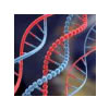 DNA